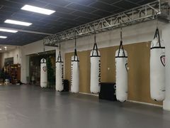 -拳义格斗搏击散打泰拳拳击俱乐部(裕华店)