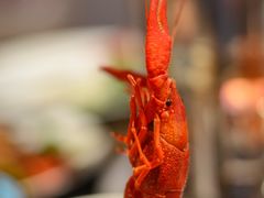 -万荟轩海鲜·粤式点心自助餐厅(蓝海风万怡酒店)