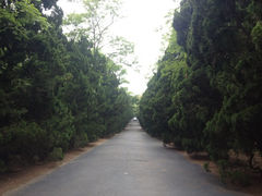 iphone_upload_pic-八大关景区