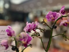 -潮江春(阳光店)