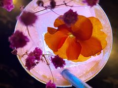 -STARRY CAFE & LOUNGE BAR(高新店)