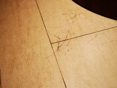 -西双版纳融创皇冠假日度假酒店