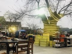 -老幺泉水鸡