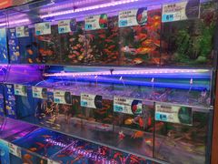 -大润发(番禺店)