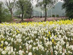 -贵阳蓬莱仙界