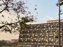 -广东财经大学(佛山校区)
