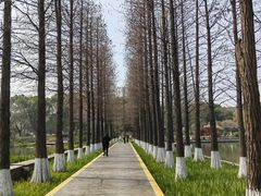 -圩墩遗址公园