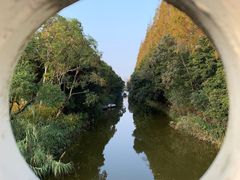 -上海长兴岛郊野公园