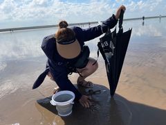 -南汇嘴观海公园