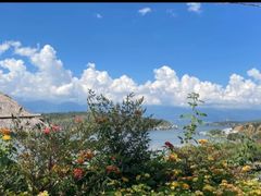 -洱海月湿地公园