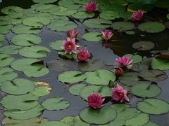 -国家植物园南园