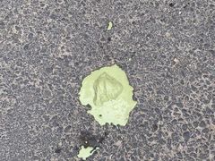 -吴裕泰圆筒冰淇淋(安内店)
