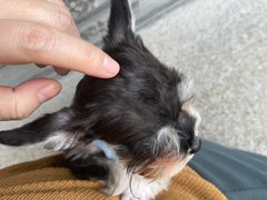 -BE NORMAL CAFE(霞溪路店)