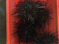 -幸福姐海鲜大排档