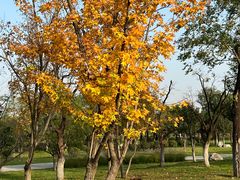 -汉长安城未央宫国家考古遗址公园