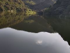 -黄埔油麻山森林公园