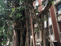 -集美学村
