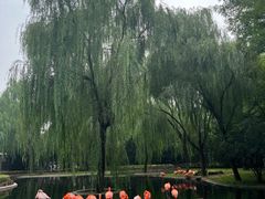 -石家庄市动物园