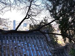 -千佛山风景名胜区