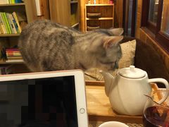 -隅cafe(傅厚岗店)