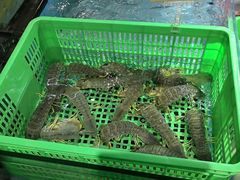 -79号渔船海鲜饭店(宝安店)