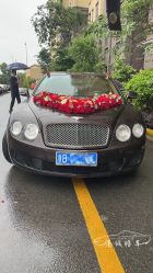 -宁波甬诚婚车(新典路店)