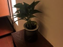 -浅深Cheersum(曹杨店)