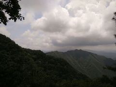 -王顺山国家森林公园