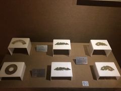 -洛阳周王城天子驾六博物馆