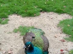 -华东政法大学(松江校区)