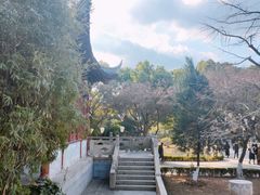 -盘门景区