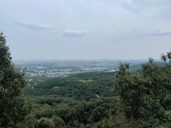 -北京西山国家森林公园