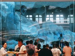 -帝企鹅自助餐厅•儿童岛•真企鹅(长隆企鹅酒店)