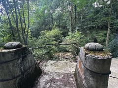 -山王坪喀斯特国家生态公园