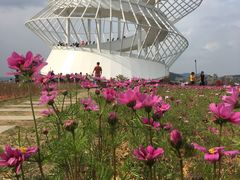 -光明小镇欢乐田园