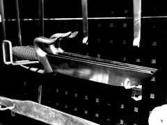 -国际咏春拳联合会拳馆俱乐部