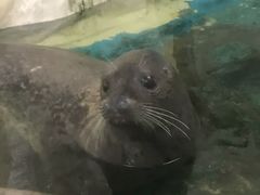-厦门海底世界