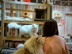 -小时光咖啡馆(开森度假森林店)