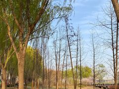 -北龙湖湿地公园