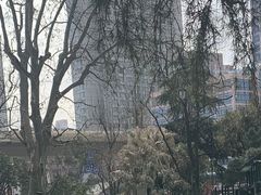 -上海璞麗酒店