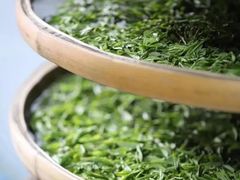 -龙坞茶村