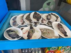 清蒸多宝鱼-蟹谢蒸鲜自助餐厅