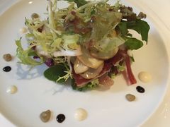 -蝶舍·MAISON PAPILLON