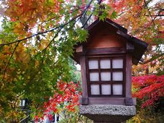 -常寂光寺