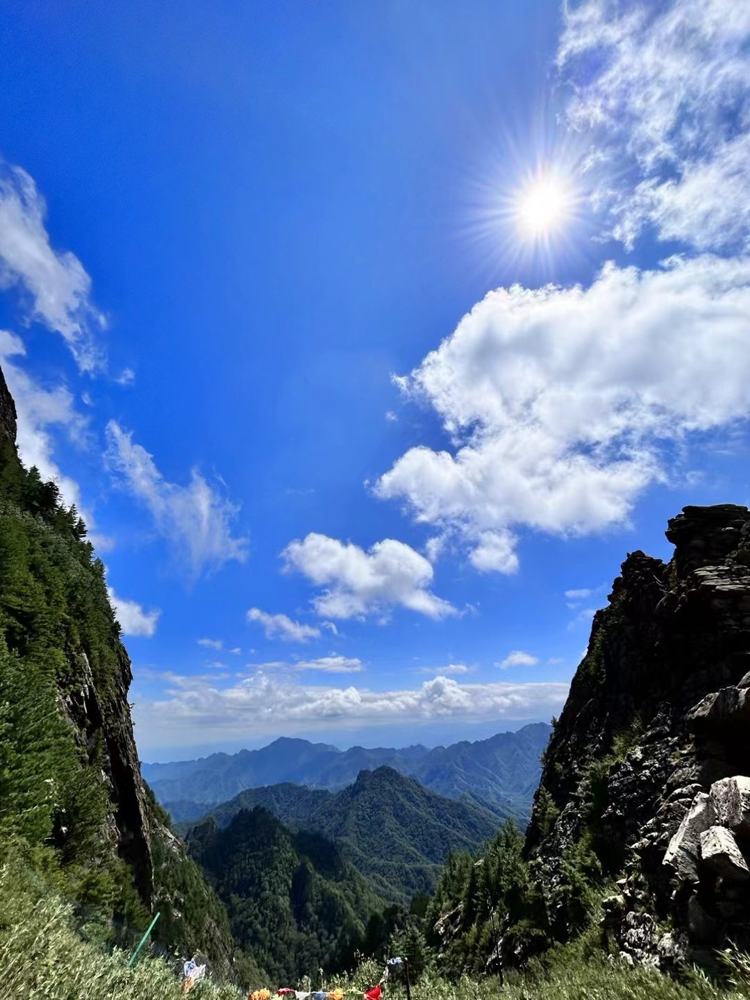 朱雀森林公园高山草甸图片