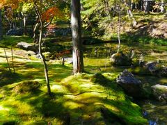 -西芳寺(苔寺)