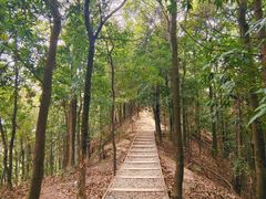 -南山植物园