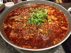 水煮牛肉-万重锦·人文川菜馆(骡马市店)