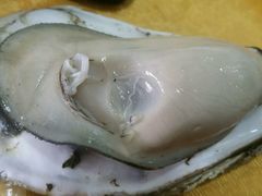 -蚝专家(北滘店)