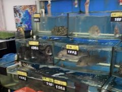 水产区-渔中舟海鲜大排档(普陀沈家门店)